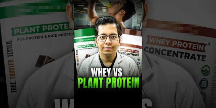 plant protein