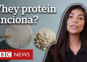 whey protein