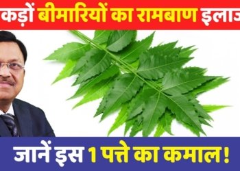 neem benefits