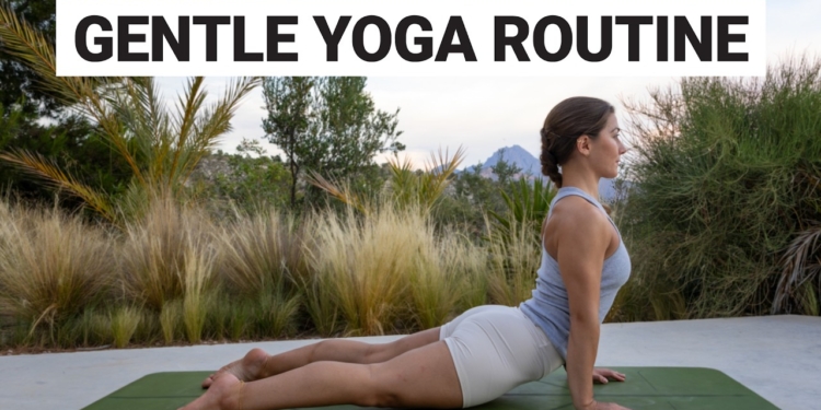 20 Min Gentle Yoga Routine | Beginner Friendly Full Body Stretch