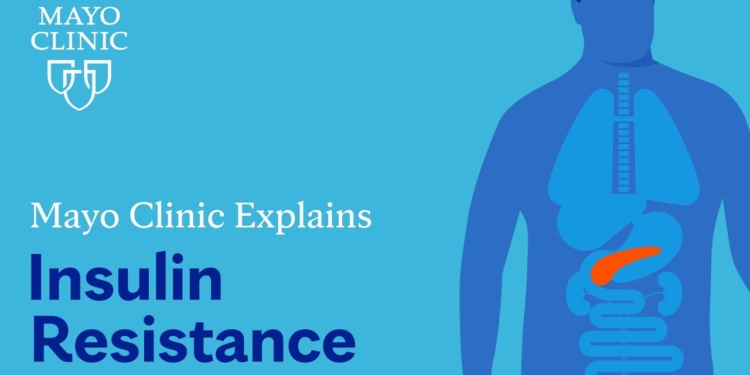 Mayo Clinic Explains Insulin Resistance