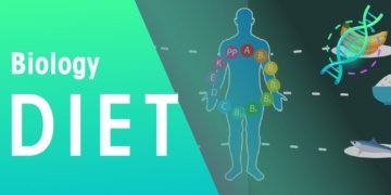 Balanced diet | Health | Biology | FuseSchool