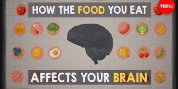 How the food you eat affects your brain - Mia Nacamulli