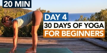 20 Min Full Body Beginner Yoga Flow (Day 4) 30 Days of Yoga For Beginners