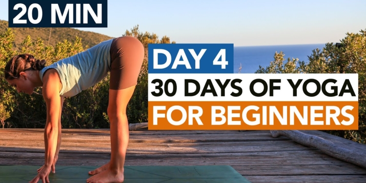 20 Min Full Body Beginner Yoga Flow (Day 4) 30 Days of Yoga For Beginners