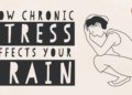 How stress affects your brain - Madhumita Murgia