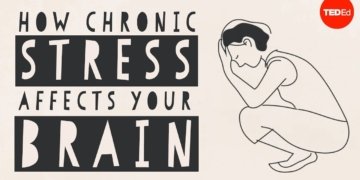 How stress affects your brain - Madhumita Murgia