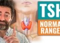 What's Thyroid Stimulating Hormone Normal Range? (Normal TSH Levels)