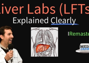Liver Function Test Interpretation (LFTs) | Liver Enzymes Remastered (Bilirubin, GGT, Alk Phos)