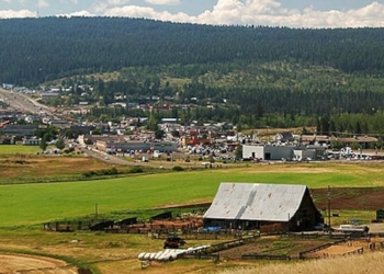 A photo of a hillside community with rolling green grass.