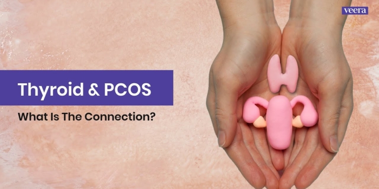 What is the connection between Thyroid & PCOS? | Veera Health