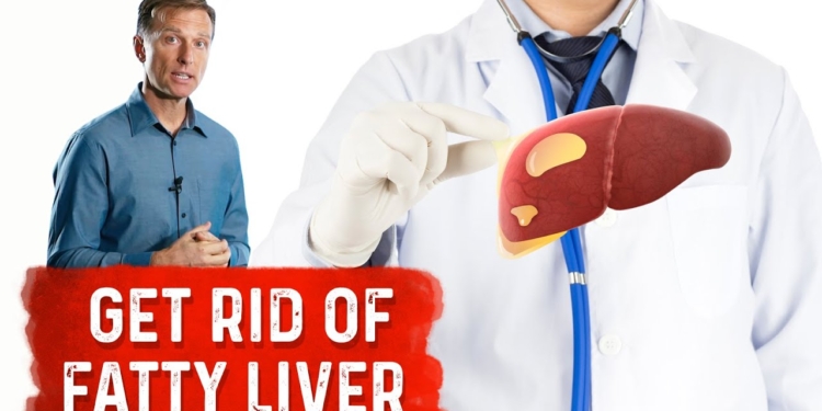 Reduce Your Liver Fat by 50 Percent in 14 Days