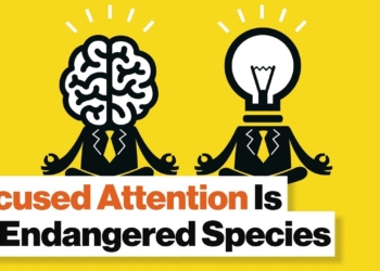 Train Your Brain: Mindfulness Meditation for Anxiety, Depression, ADD and PTSD | Daniel Goleman