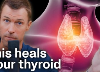 How to Heal Hypothyroidism and Hashimoto's Naturally