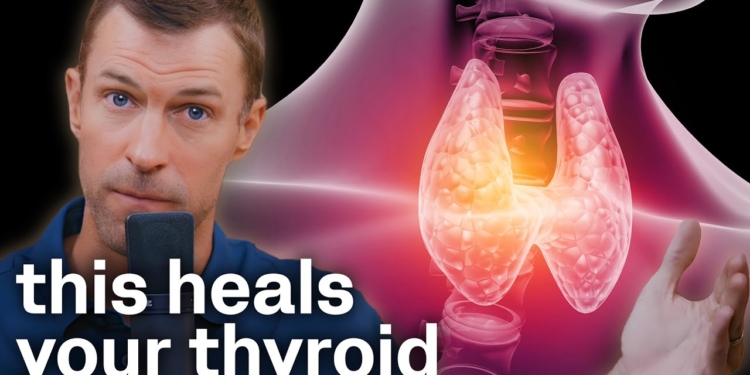 How to Heal Hypothyroidism and Hashimoto's Naturally