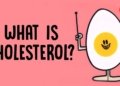 What actually causes high cholesterol? - Hei Man Chan