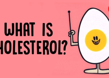 What actually causes high cholesterol? - Hei Man Chan