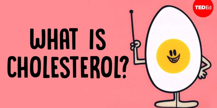What actually causes high cholesterol? - Hei Man Chan