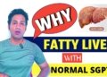 Fatty Liver Or normal or High SGPT , SGOT ?
