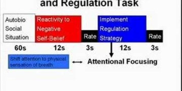 Cognitive Neuroscience of Mindfulness Meditation