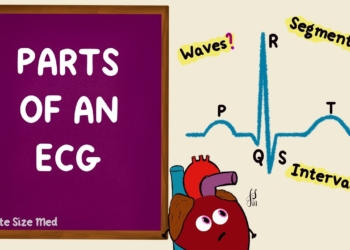 Parts of an ECG | EKG Basics | Waves Segments Intervals | Cardiac Physiology