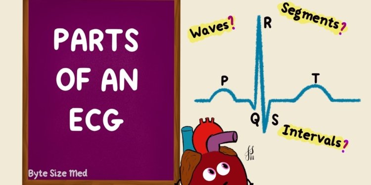 Parts of an ECG | EKG Basics | Waves Segments Intervals | Cardiac Physiology