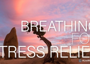 #LiveWholeHealth: Breathing for Stress Relief