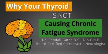 Why Your Thyroid Isn't Causing Chronic Fatigue Syndrome