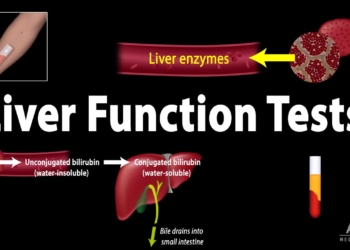 Liver Function Tests (LFTs), Animation