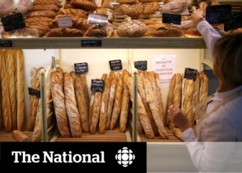 Low-carb diets can shorten life expectancy: study