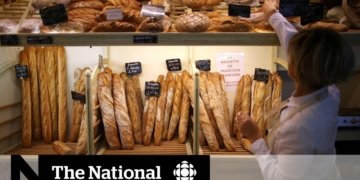 Low-carb diets can shorten life expectancy: study