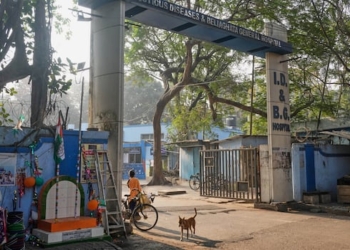 A stray dog roams at the entrance of an infectious diseases hospital in India.