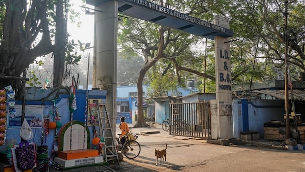 A stray dog roams at the entrance of an infectious diseases hospital in India.