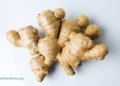Benefits of Ginger for Obesity and Fatty Liver Disease