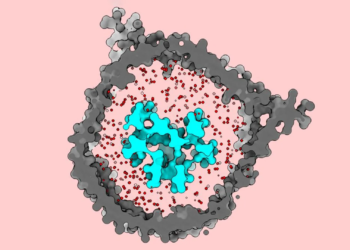 A hidden T cell switch could make cancer immunotherapy work for more people