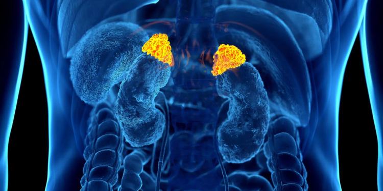 AI finds a hidden stress signal inside routine CT scans