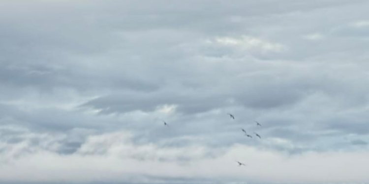 Disaster in north-west Queensland not over yet, more rain forecast for tropical coast