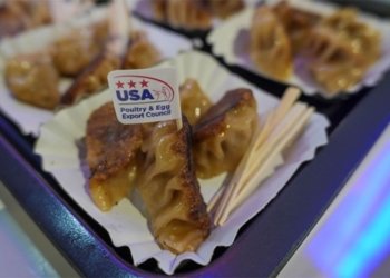 Dumpling treat: Gyoza made with chicken