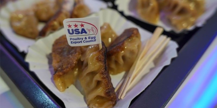 Dumpling treat: Gyoza made with chicken