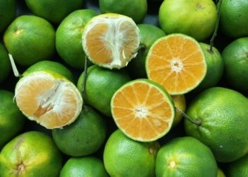 Give in to your citrus craving: Dalandan season is on