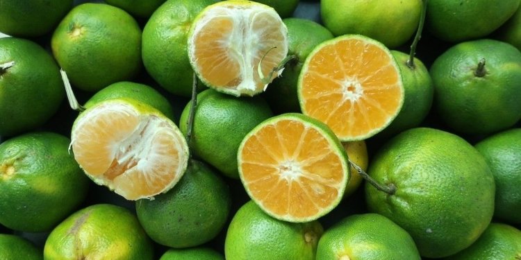 Give in to your citrus craving: Dalandan season is on