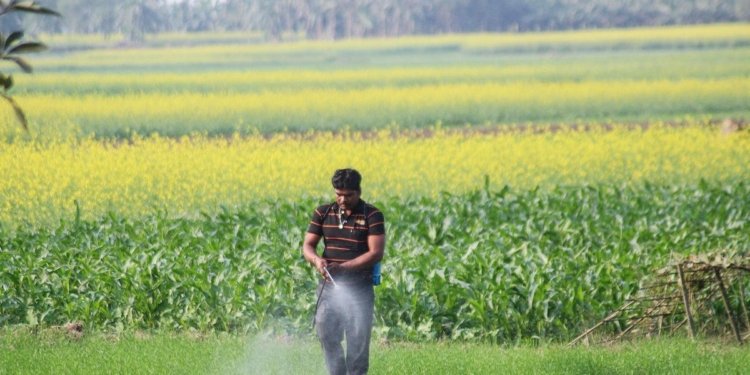 Govt. seeks feedback on draft Bill to regulate pesticides, promote ‘safe and effective’ use