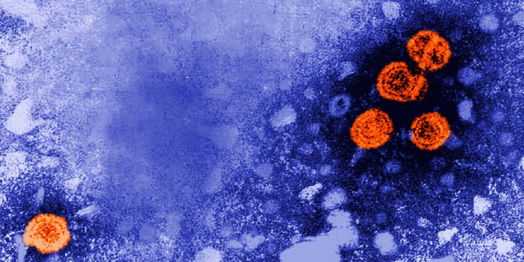 Guinea-Bissau Suspends Trump-Backed Hep B Vaccine Trial for Ethical Review