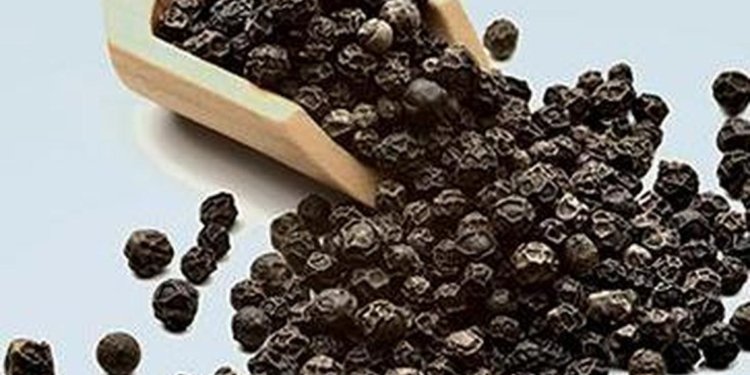 Health Quiz: On winter infections