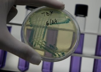 Health matters newsletter Surveilling infections