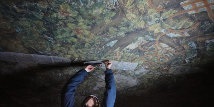 In Milan, a rare chance to glimpse restoration of a long-hidden Leonardo gem