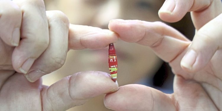 Malaysian crafter turns recycled paper into stunning accessories