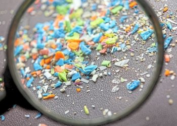Microplastics weaken biological barrier that protects brain 