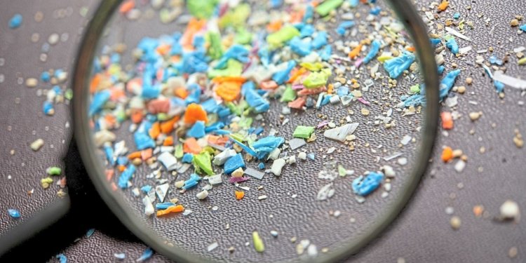 Microplastics weaken biological barrier that protects brain 