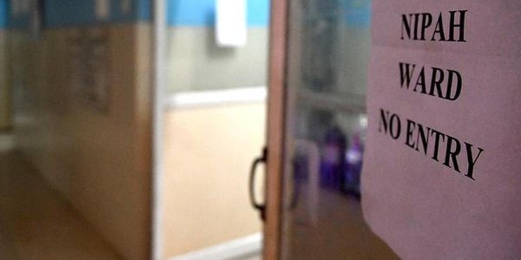 Nipah-hit Bengal nurses critical; two contacts hospitalised